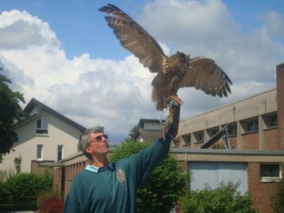 Foto des Albums: Aktionstage: Falkner und Imker zu Besuch