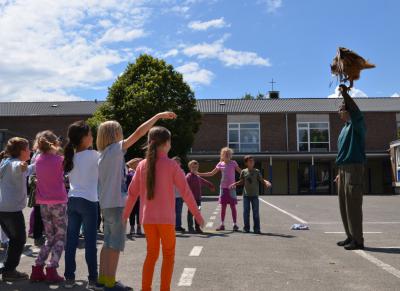 Foto des Albums: Aktionstage: Falkner und Imker zu Besuch