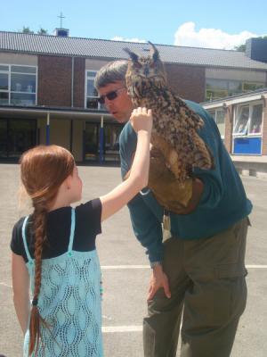 Foto des Albums: Aktionstage: Falkner und Imker zu Besuch