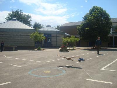 Foto des Albums: Aktionstage: Falkner und Imker zu Besuch