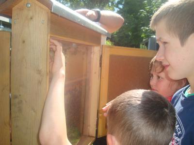 Foto des Albums: Aktionstage: Falkner und Imker zu Besuch