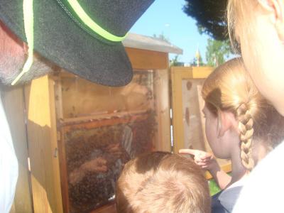 Foto des Albums: Aktionstage: Falkner und Imker zu Besuch
