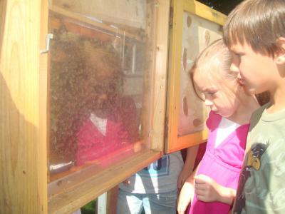 Foto des Albums: Aktionstage: Falkner und Imker zu Besuch