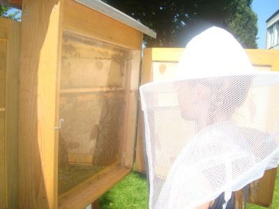 Foto des Albums: Aktionstage: Falkner und Imker zu Besuch