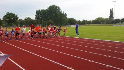 Foto des Albums: Prenzlau, 05.07.2014
