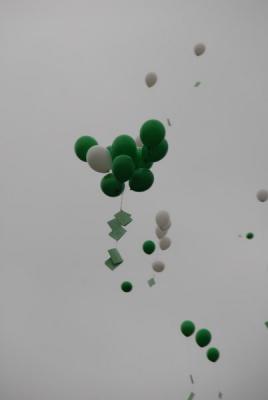 Foto des Albums: Bunte Bilder vom Fest