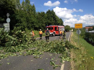 Foto des Albums: Baum auf Straße - Einsatz 18/2014 (12.07.2014)