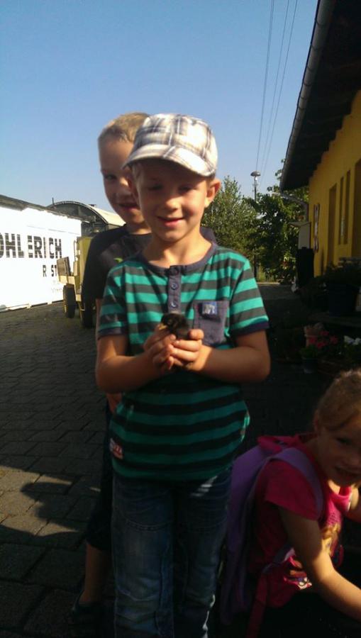 Bild der Galerie