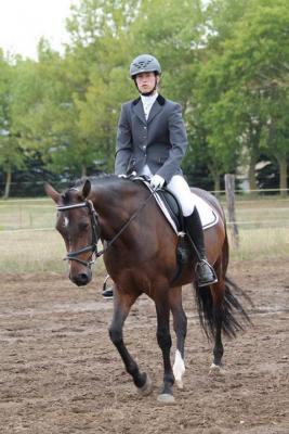 Foto des Albums: Landeschampionat der 3- und 4-jährigen Reitponies in M-V