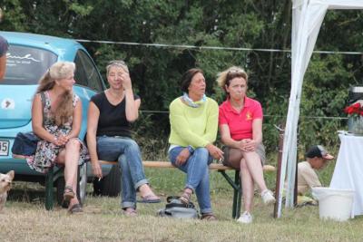 Foto des Albums: Landeschampionat der 3- und 4-jährigen Reitponies in M-V