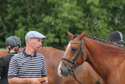 Foto des Albums: Landeschampionat der 3- und 4-jährigen Reitponies in M-V