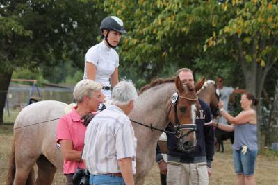 Foto des Albums: Landeschampionat der 3- und 4-jährigen Reitponies in M-V
