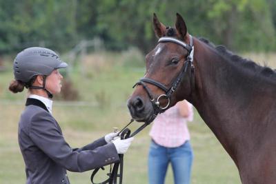 Foto des Albums: Landeschampionat der 3- und 4-jährigen Reitponies in M-V