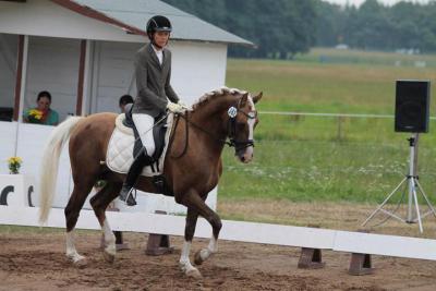 Foto des Albums: Landeschampionat der 3- und 4-jährigen Reitponies in M-V