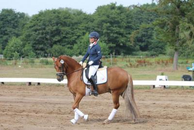 Foto des Albums: Landeschampionat der 3- und 4-jährigen Reitponies in M-V