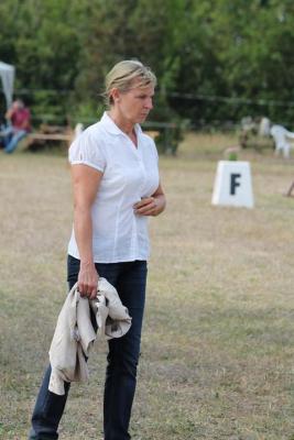 Foto des Albums: Landeschampionat der 3- und 4-jährigen Reitponies in M-V