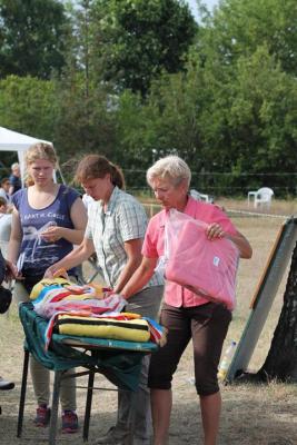 Foto des Albums: Landeschampionat der 3- und 4-jährigen Reitponies in M-V