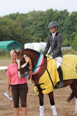 Foto des Albums: Landeschampionat der 3- und 4-jährigen Reitponies in M-V
