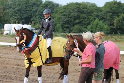 Foto des Albums: Landeschampionat der 3- und 4-jährigen Reitponies in M-V