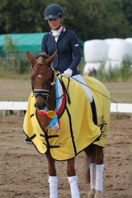 Foto des Albums: Landeschampionat der 3- und 4-jährigen Reitponies in M-V