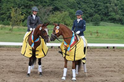 Foto des Albums: Landeschampionat der 3- und 4-jährigen Reitponies in M-V