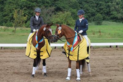 Foto des Albums: Landeschampionat der 3- und 4-jährigen Reitponies in M-V