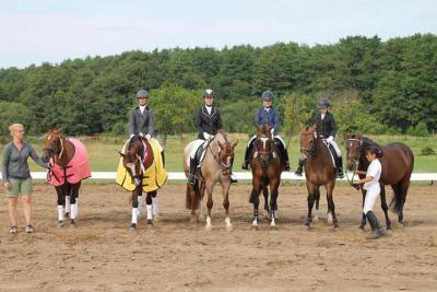 Foto des Albums: Landeschampionat der 3- und 4-jährigen Reitponies in M-V