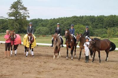 Foto des Albums: Landeschampionat der 3- und 4-jährigen Reitponies in M-V