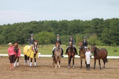 Foto des Albums: Landeschampionat der 3- und 4-jährigen Reitponies in M-V