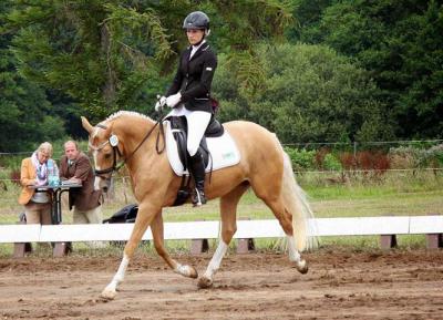 Foto des Albums: Landeschampionat der 3- und 4-jährigen Reitponies in M-V