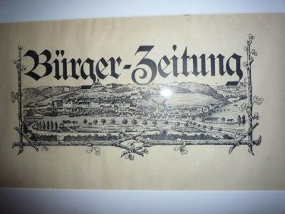 Foto des Albums: Stühlingen! Spuren der Geschichte (15.07.2012)