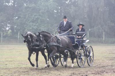 Foto des Albums: Fahren