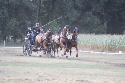 Foto des Albums: Fahren