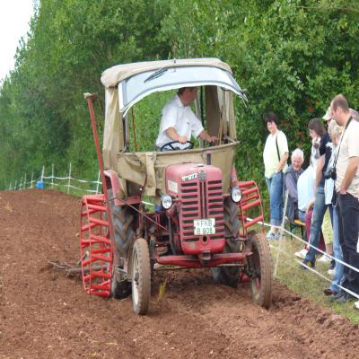 Foto des Albums: Feldtag 2006