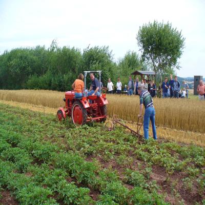 Foto des Albums: Feldtag 2006