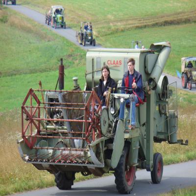 Foto des Albums: Feldtag 2006