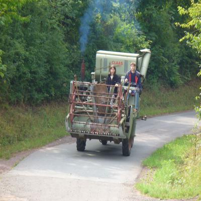Foto des Albums: Feldtag 2006