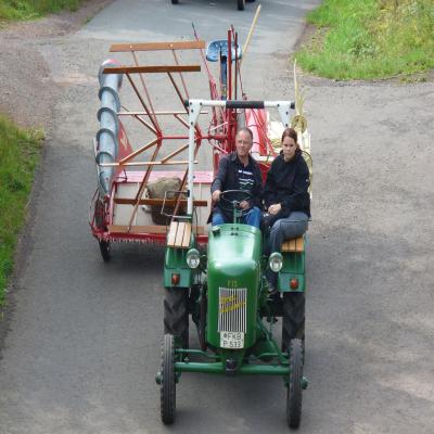 Foto des Albums: Feldtag 2006