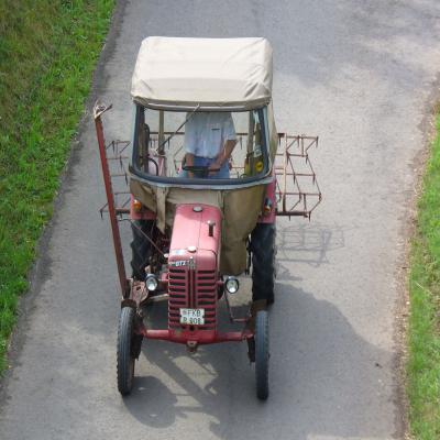 Foto des Albums: Feldtag 2006