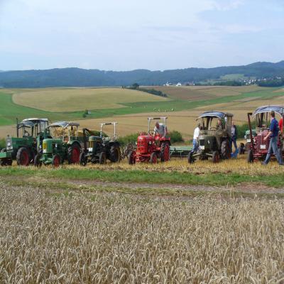 Foto des Albums: Feldtag 2006