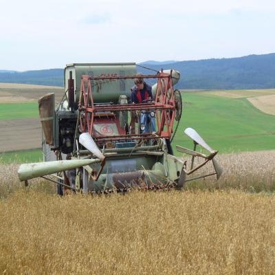 Foto des Albums: Feldtag 2006
