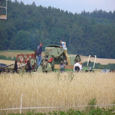 Foto des Albums: Feldtag 2006