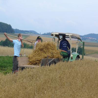 Foto des Albums: Feldtag 2006