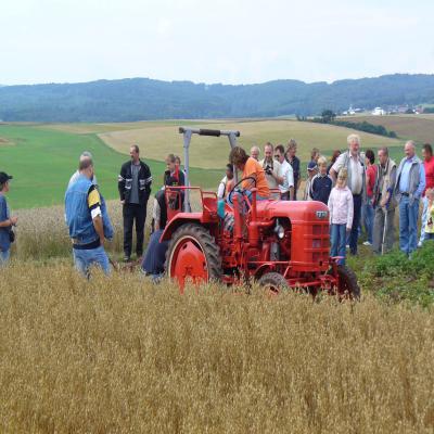 Foto des Albums: Feldtag 2006