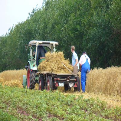 Foto des Albums: Feldtag 2006