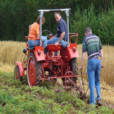 Foto des Albums: Feldtag 2006
