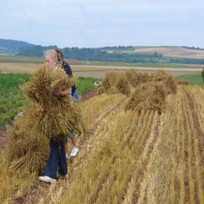 Foto des Albums: Feldtag 2006