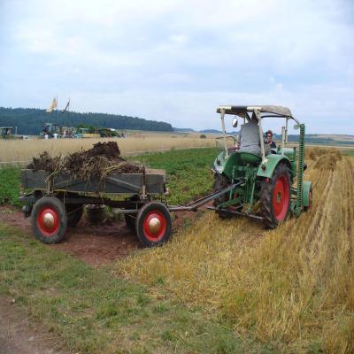 Foto des Albums: Feldtag 2006