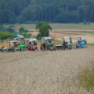 Foto des Albums: Feldtag 2006