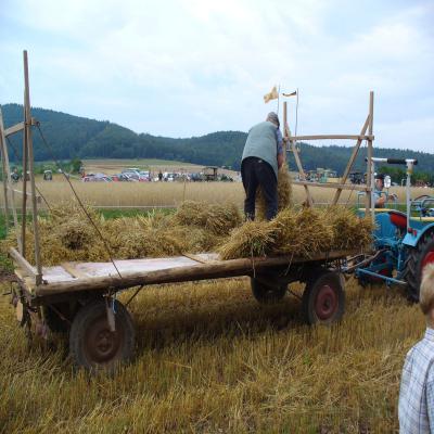 Foto des Albums: Feldtag 2006
